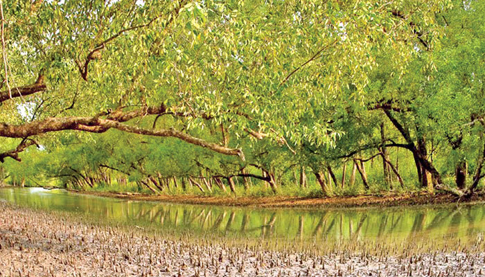 প্রত্যাশা পূরণ হয়নি জলবায়ু বাজেটে