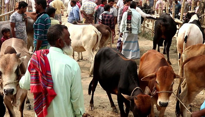 গলাকাটা খাজনায় বিপাকে ক্রেতা-বিক্রেতা