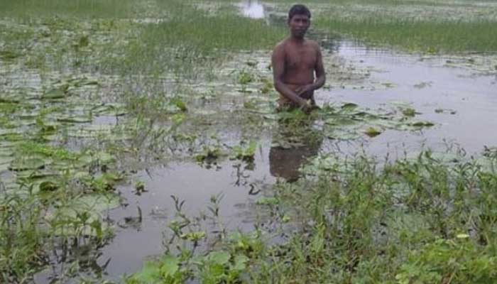 জীবন বাঁচাতে জীবিকা বদল