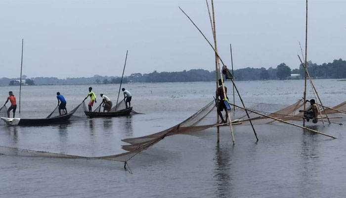 হাওরাঞ্চলে অবাধে চলছে পোনা মাছ নিধন