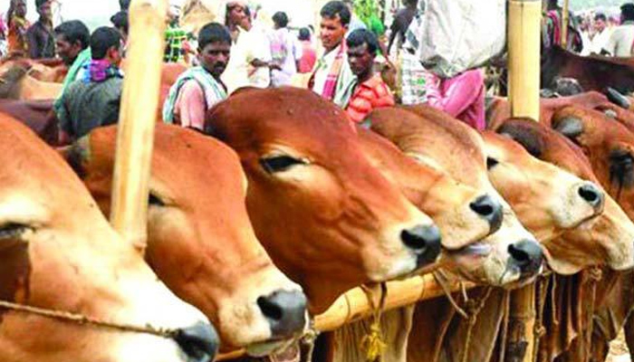 উত্তর সিটি সরে এলেও ইজারা দিচ্ছে দক্ষিণ