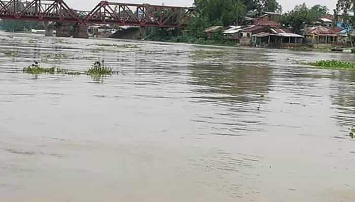 আত্রাই নদীতে পানি বৃদ্ধি, তলিয়ে গেছে বীজতলা