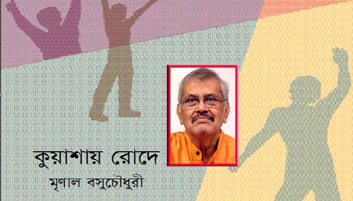 কুয়াশায় রোদে