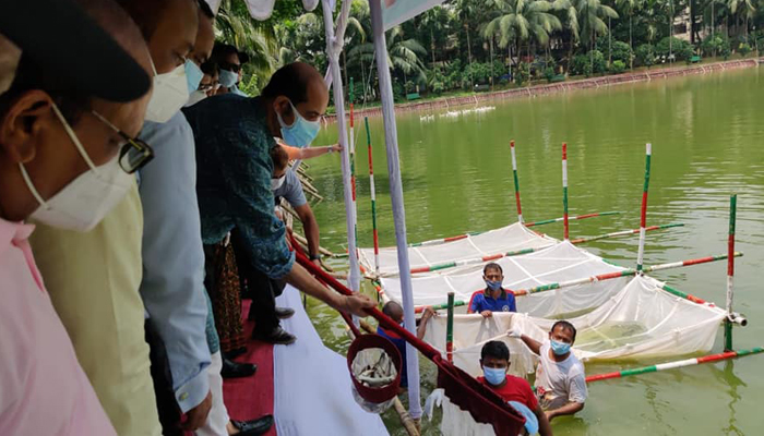 মাছের পোনা অবমুক্ত করলেন ডিএনসিসির মেয়র