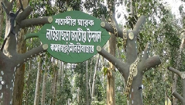 অক্টোবর পর্যন্ত বন্ধ থাকছে জাতীয় উদ্যান