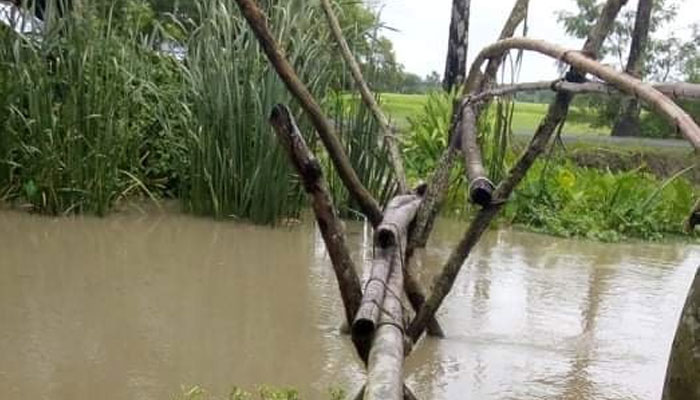 নিজেরাই বানিয়েছেন সেতু, ঝুঁকি নিয়ে পারাপার