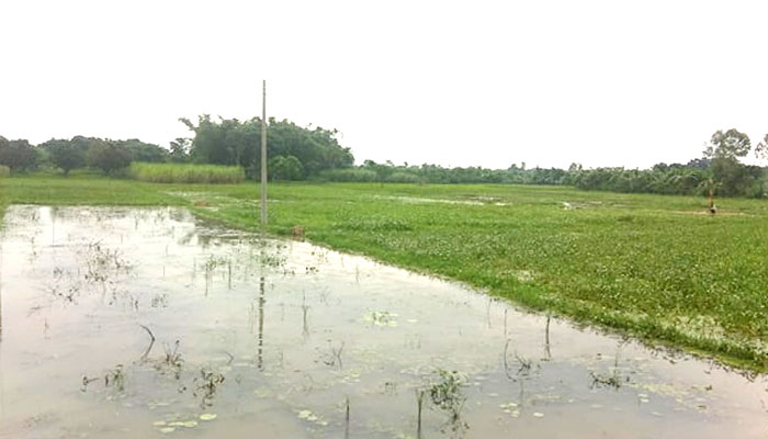 দেড় হাজার বিঘা জমি অনাবাদির আশঙ্কা