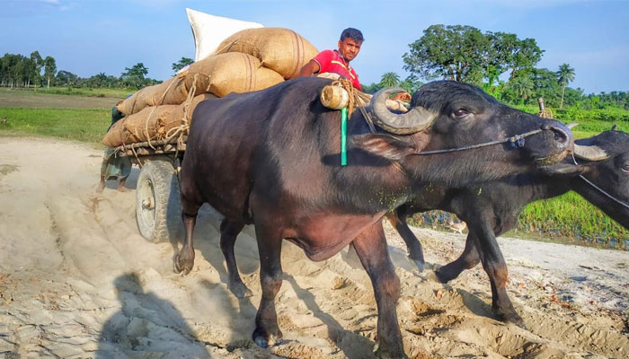 প্রশাসনের উদাসীনতায় তিন বছরেও মেরামত হয়নি রাস্তা