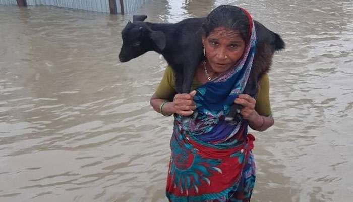 বাঁধ ভেঙে তলিয়ে গেছে হাইমচর