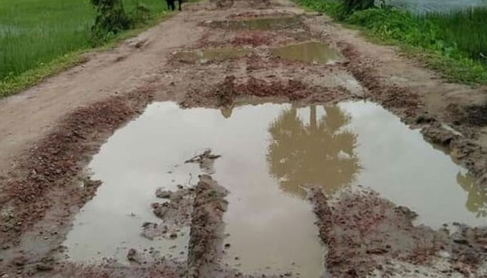 সড়কের বেহাল দশা, জনদুর্ভোগ চরমে