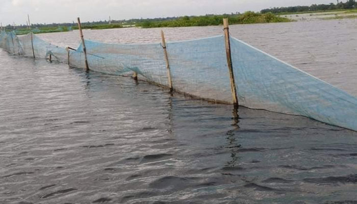 প্রভাবশালীদের মাছের ঘের, দুর্দিনে মৎস্যজীবিরা