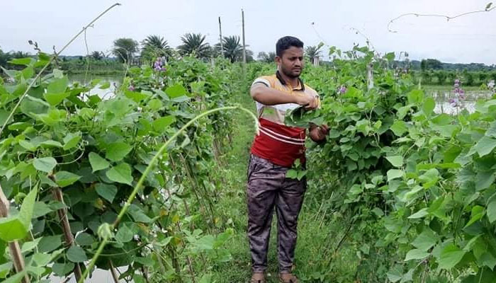 ডুমুরিয়ায় আগাম শিম চাষে স্বাবলম্বী কৃষকরা