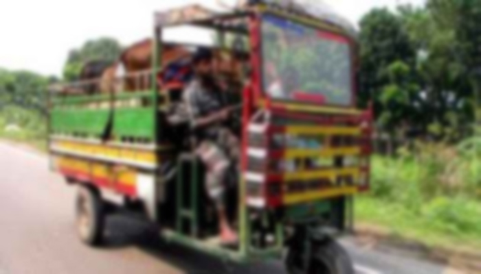 গরুবোঝাই করিমন উল্টে ব্যবসায়ী নিহত