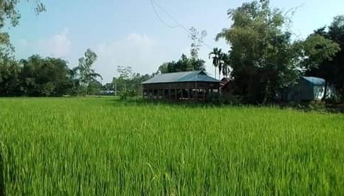 খেলার মাঠ দখল করে চাষাবাদ, ব্যাহত খেলাধুলা