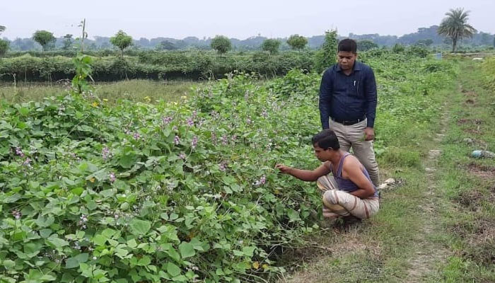 সফল কৃষি উদ্যোক্তা প্রতিবন্ধী মাসুদ রানা