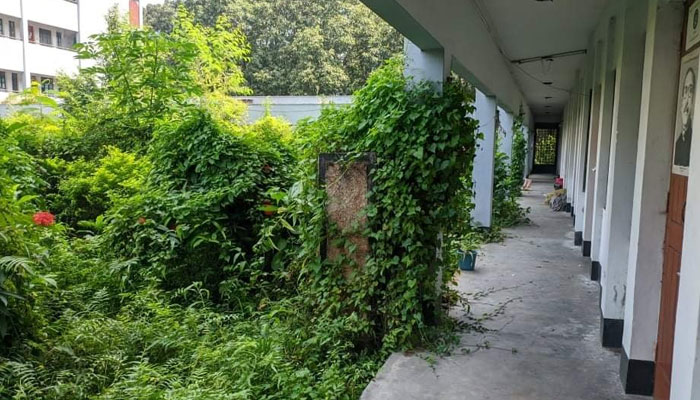 ঝোঁপঝাড়ে পূর্ণ ইবি, ক্যাম্পাসে সাপের আতঙ্ক