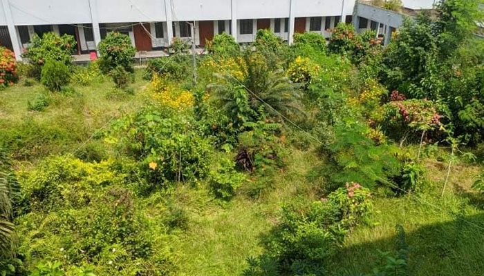 ঝোঁপঝাড়ে পূর্ণ ইবি, ক্যাম্পাসে সাপের আতঙ্ক