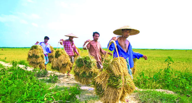 খাদ্য প্রক্রিয়াজাত ও ভেল্যু এডিশন কার্যক্রম