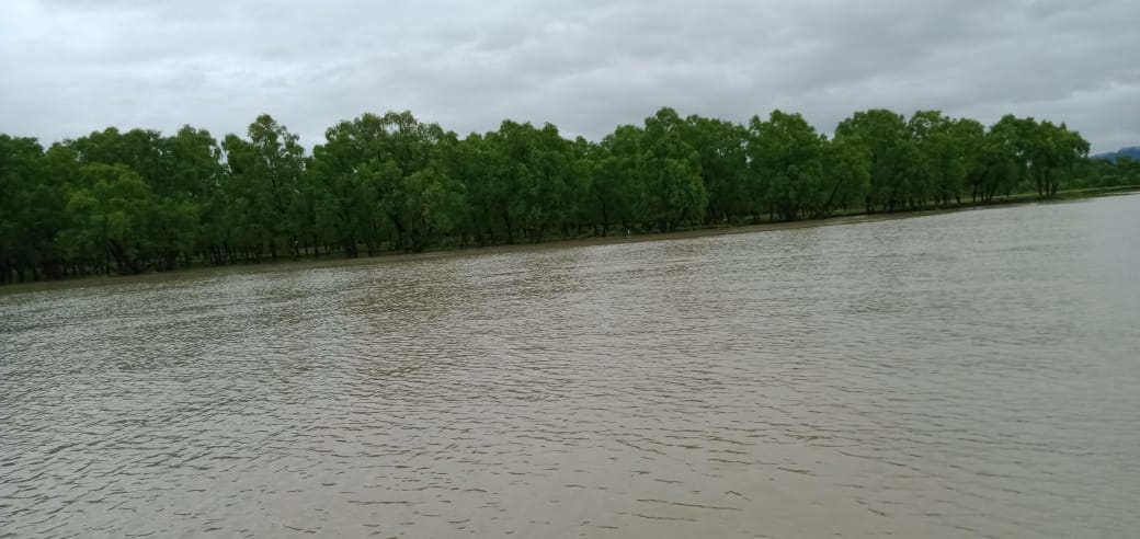 সাগর-পাহাড়-অরণ্যের সঙ্গে মিতালী