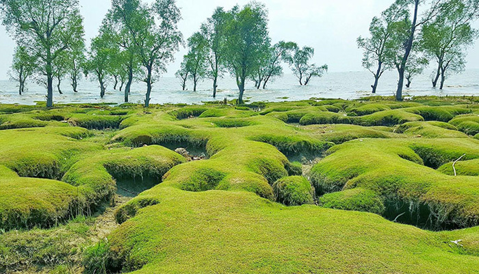 সাগর-পাহাড়-অরণ্যের সঙ্গে মিতালী
