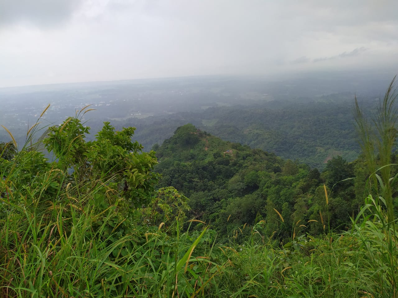 সাগর-পাহাড়-অরণ্যের সঙ্গে মিতালী