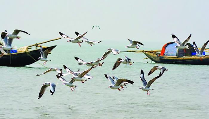 সোনার চরের অদেখা সৌন্দর্য