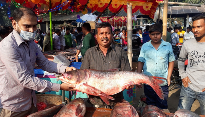বগুড়ায় বসেছে নবান্নের হাট, মূল আকর্ষণ ‘বড় মাছ’