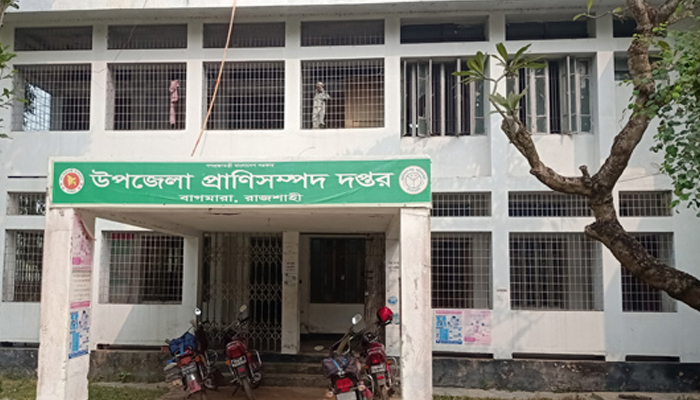 বাগমারা প্রাণীসম্পদ দপ্তরের সেবা না পেয়ে হতাশ খামারিরা