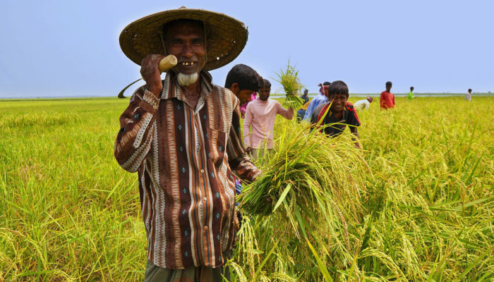হার না মানার এক বিস্ময়কর উপাখ্যান