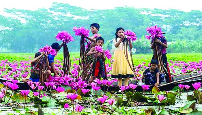 পর্যটন কেন্দ্র গড়ে তোলার প্রকল্প প্রস্তাব ঝুলে আছে