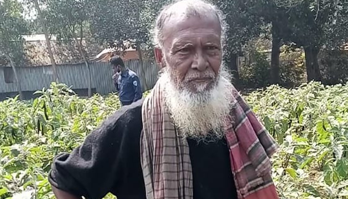 বেগুন খেতে গাঁজা চাষ!
