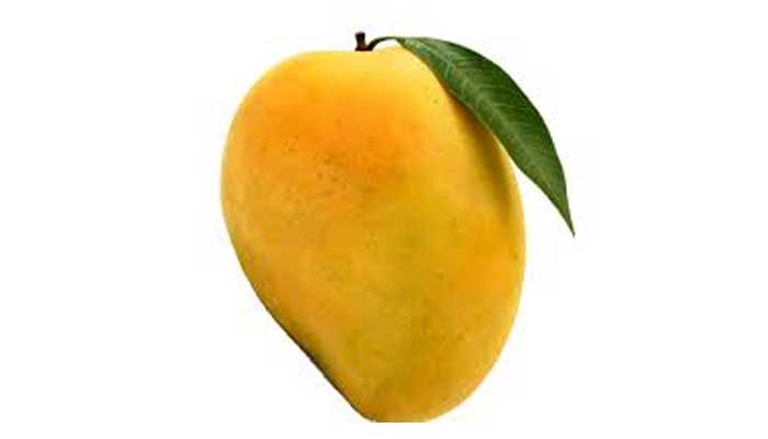 একটি আমের দাম ৯৫০ টাকা!