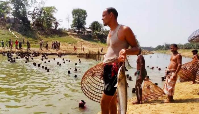গুরুদাসপুরে ঐতিহ্যবাহী পলো উৎসব