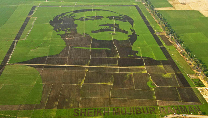 প্রধানমন্ত্রীর ত্রাণ তহবিলে যাবে বঙ্গবন্ধু শস্যচিত্রের ১০০ বিঘার ধান