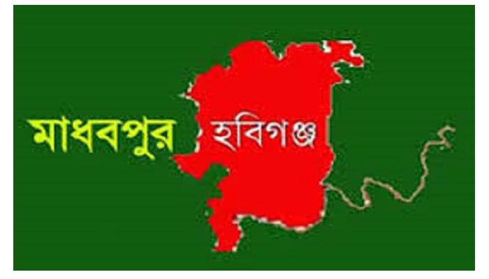 মাধবপুরে আদালতের নির্দেশ উপেক্ষা করে গাছ কর্তন