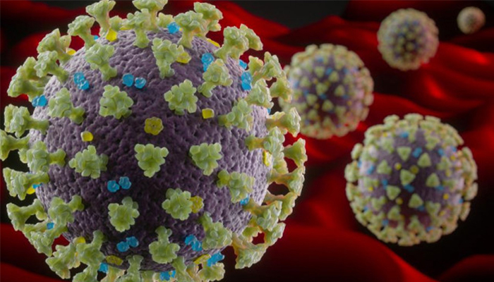 নিউজ ফ্ল্যাশ