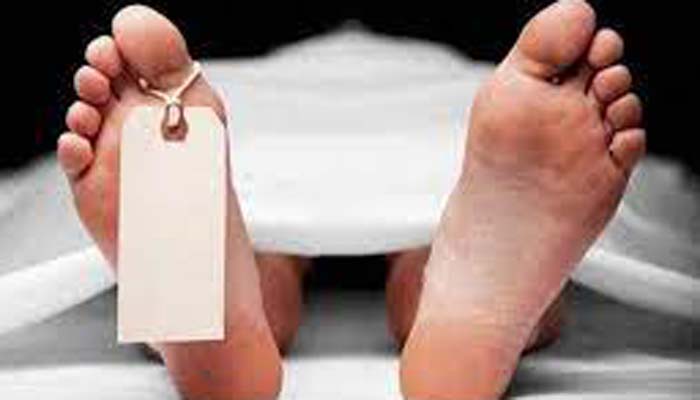 রাজধানীর পল্লবীতে অটোরিকশা চালক খুন