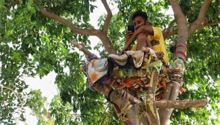 গাছের ডালে মাচা বানিয়ে আইসোলেশনে যুবক