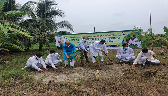 পরিবেশ রক্ষায় শেখ হাসিনার উদ্যোগ বিশ্বে প্রশংসনীয়: বাহাউদ্দিন নাছিম 