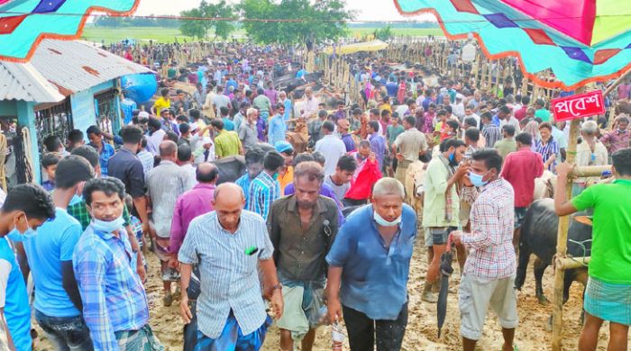 নবীগঞ্জে জমজমাট পশুর হাট, উপেক্ষিত স্বাস্থ্য বিধি