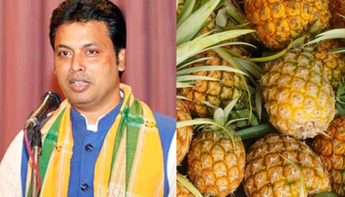 হাঁড়িভাঙ্গার ফিরতি গিফট রাণী জাতের আনারস