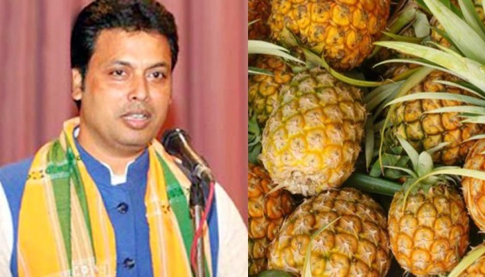 হাঁড়িভাঙ্গার ফিরতি গিফট রাণী জাতের আনারস