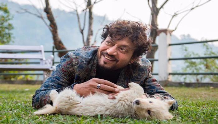 ফের পর্দায় ইরফান খান