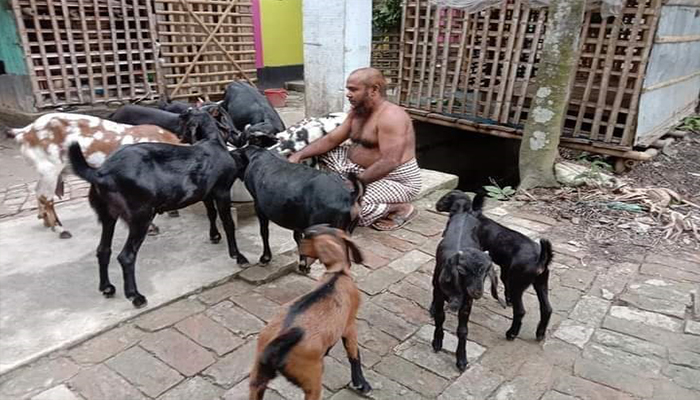 ডুমুরিয়ায় ছাগল পালন করে স্বাবলম্বী আবু তাহের খান