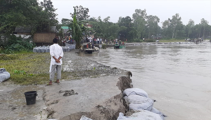 উলিপুরে তিস্তার তীব্র ভাঙ্গনে ৬০ পরিবারের সর্বস্ব বিলীন