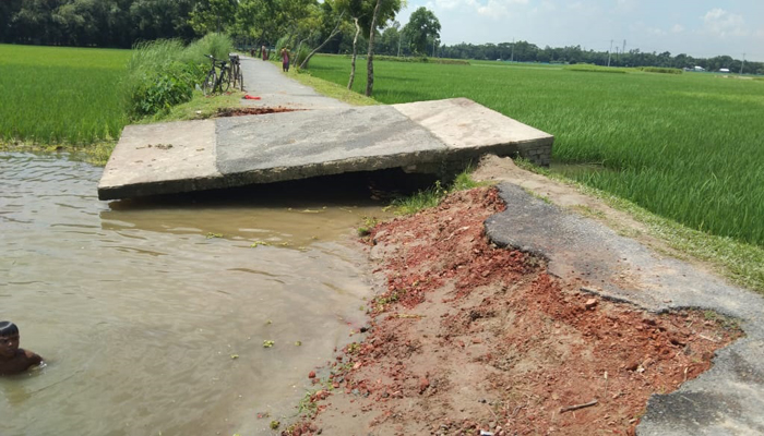 শেরপুরে একটি ব্রিজ নির্মানের অভাবে ১৫ গ্রামের মানুষের দুর্ভোগ