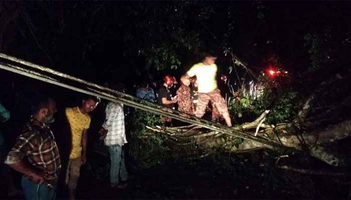 লাউয়াছড়ার সড়কে গাছ পড়ে ৩ ঘণ্টা যান চলাচল বন্ধ