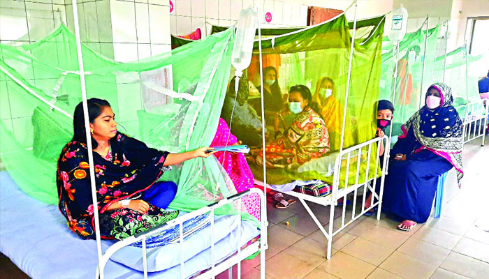 ডেঙ্গুতে আক্রান্ত আরও ২০৮ জন হাসপাতালে