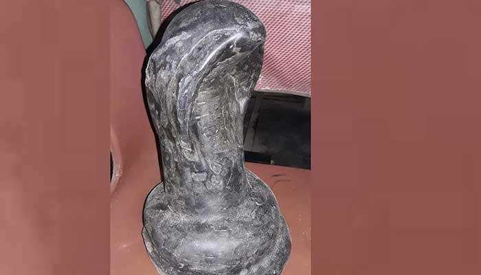 সরিষাবাড়ীতে কোটি টাকার কষ্টিপাথর উদ্ধার, গ্রেপ্তার ২