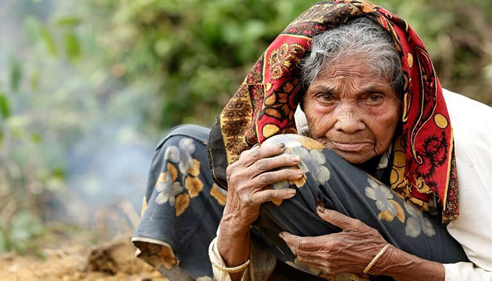দেশে এক-চতুর্থাংশ প্রবীণ অপুষ্টিতে ভুগছেন